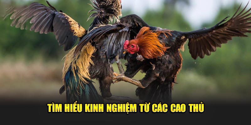 Khám phá thêm một vài kinh nghiệm từ các cao thủ